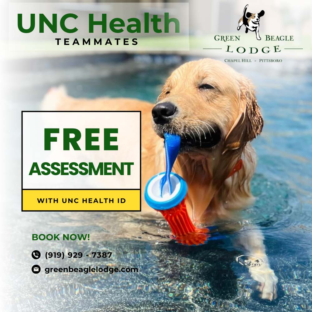 Image for Green Beagle Lodge